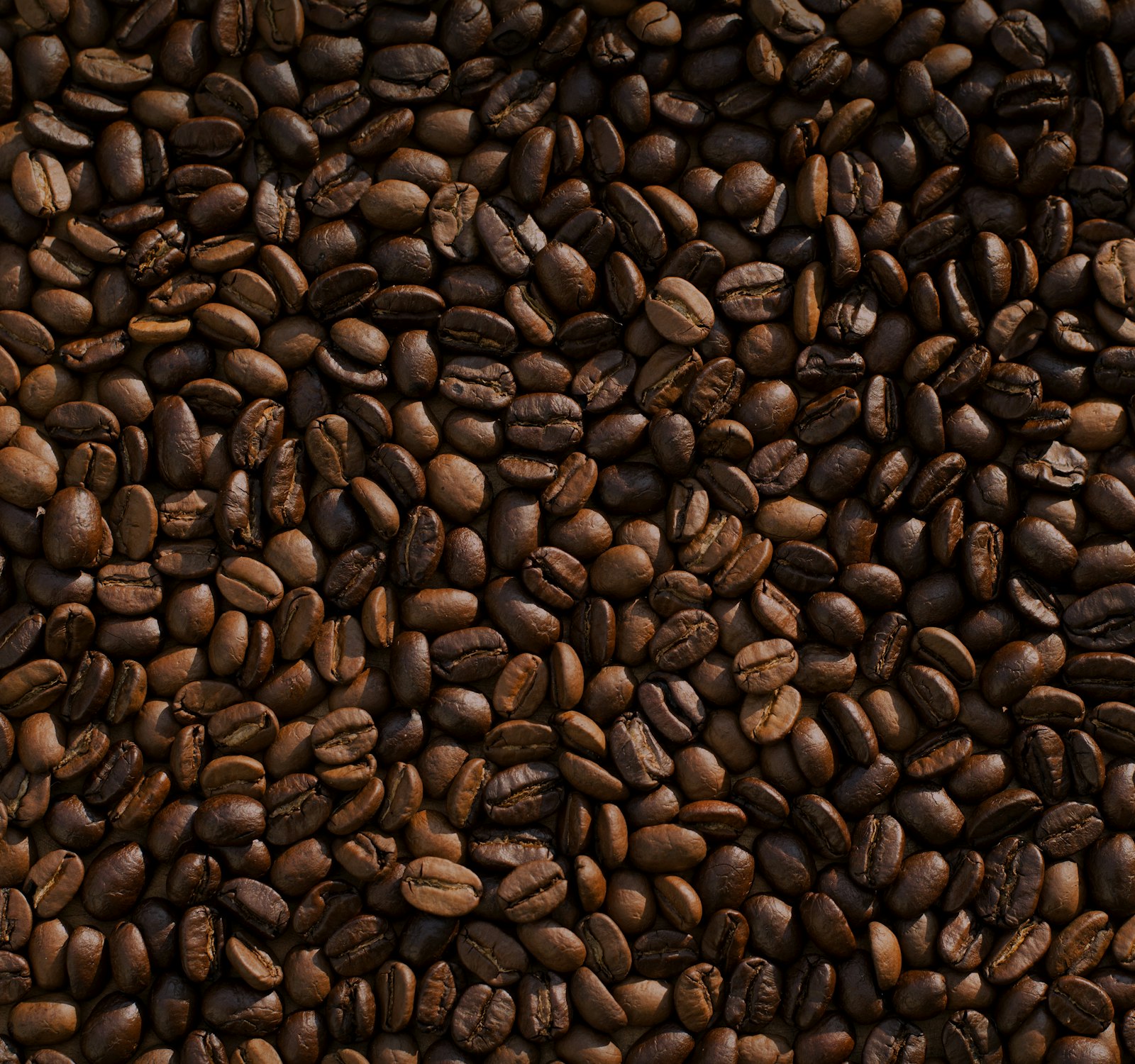 Barista pulling a shot of espresso on a polished machine with steam rising